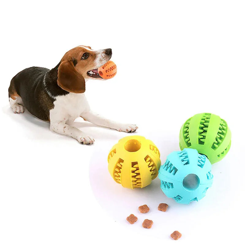 Dog chew ball